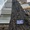 3 cây sao đen trăm tuổi chết khô trước 3 căn nhà đang xây ở phố Lò Đúc: 'Có dấu hiệu bị xâm hại'