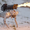 'Hot dog chính hiệu' - Robot chó phun lửa đầu tiên trên thế giới!