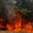 Vẫn chưa dập được đám cháy rừng phòng hộ ở Quảng Bình
