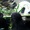 Trung Quốc gửi cặp gấu trúc khổng lồ Vân Xuyên và Hâm Bảo đến vườn thú San Diego