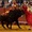 Tây Ban Nha sẽ bãi bỏ giải đấu bò quốc gia