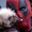 Dogpool, chú chó xấu xí trong Deadpool & Wolverine