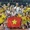 FIVB Challenger Cup 2024: Kỳ vọng gì ở tuyển bóng chuyền nữ Việt Nam?