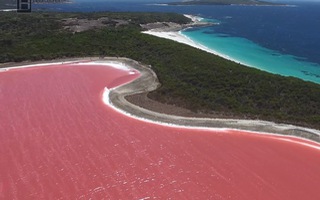 Video: Độc đáo hồ nước màu hồng trên hòn đảo Middle