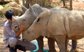 Tin nóng 24h: “Ngôi nhà hạnh phúc” của động vật hoang dã ở Vinpearl Safari
