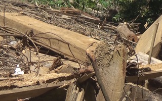Phát hiện thêm 40m3 gỗ trong vụ phá rừng đặc dụng ở Đắk Lắk