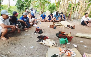 Bắt điểm đá gà có cảnh giới, thu gần 100 triệu đồng