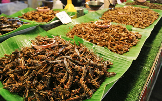 Ẩm thực côn trùng chiên giòn ở Thái Lan
