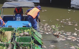 Bắt bớt cá trên kênh Nhiêu Lộc – Thị Nghè để cân bằng sinh thái