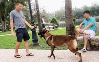 Hồn nhiên huấn luyện chó dữ trong công viên
