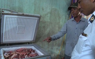 Phát hiện gần 1 tấn nội tạng heo bốc mùi hôi thối