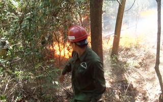 Rừng thông cháy trở lại, Hà Tĩnh di dời dân, bảo vệ trạm xăng