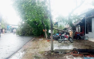 Giông lốc làm tốc mái hơn 300 căn nhà i tại Tiền Giang và Long An