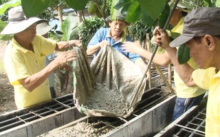 Đội xây cầu từ thiện của những lão nông