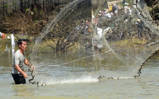 Đổ xô đi bắt ‘lộc trời’ dưới chân thủy điện Trị An