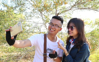 Video: Bạn trẻ thích thú với mùa tràm vàng bên triền cát trắng Bình Thuận