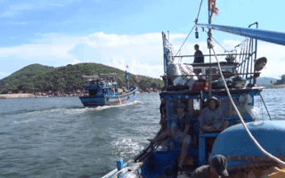Video: Ngư dân trúng đậm cá biển trong chuyến tàu cuối cùng của năm