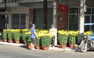 Người trồng hoa, buôn hoa ở Vũng Tàu lo ế ẩm