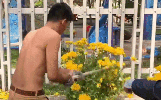 Video: Người bán tức giận bẻ gãy, đập nát hoa chứ không chịu bán rẻ