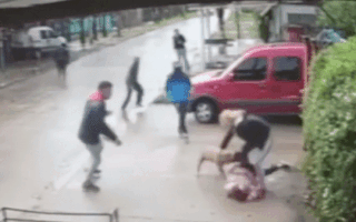 Video: Hàng chục người người giải cứu bé gái bị chó pitbull tấn công
