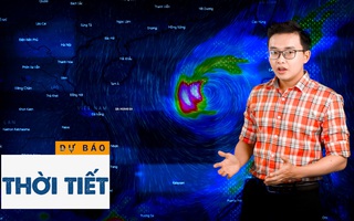 Bản tin dự báo thời tiết 23-10: Bão số 8 cách quần đảo Hoàng Sa khoảng 320km, gió giật cấp 15