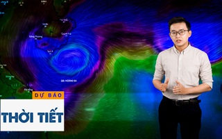 Bản tin dự báo thời tiết 24-10: Bão số 8 đi vào các tỉnh từ Hà Tĩnh đến Quảng Trị và sẽ suy yếu dần