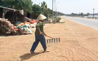 Video: Người dân Quảng Bình tìm mọi cách cứu lúa