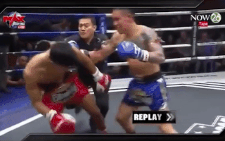 Video: Trọng tài ngã vật xuống sàn vì bị võ sĩ đá mạnh vào mặt