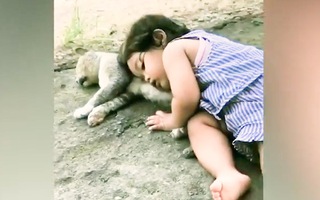 Video: Em bé gối đầu ngủ quên trên chú mèo hoang, cả nhà thảng thốt đi tìm