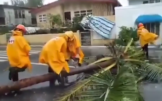 Video: Tàn phá kinh hoàng của siêu bão Goni tại Philippines