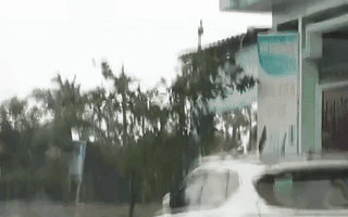 Video: Bão số 12 sắp đổ bộ, Phú Yên bắt đầu có gió giật mạnh