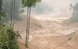 Video: Kinh hoàng lũ bùn chảy như sông Quảng Ngãi