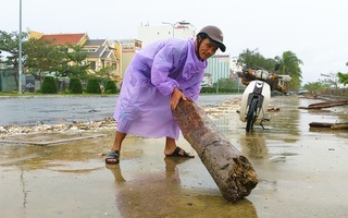 Video: Sau bão, người dân Đà Nẵng rủ nhau ra đường nhặt củi