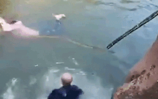 Video: Nhà ngoại giao Anh cứu người phụ nữ rơi xuống sông