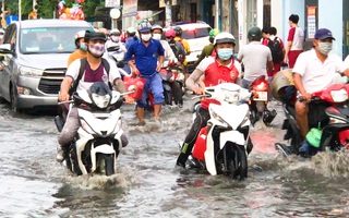 Video: Triều cường dâng cao, học sinh, công nhân bì bõm lội nước về nhà