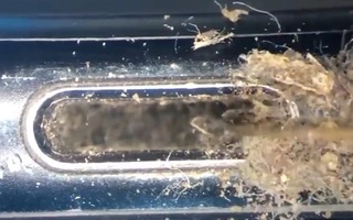 Video: Ớn lạnh với iPhone 'siêu bẩn' dưới kính hiển vi