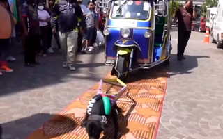 Video: Bắt chó pitbull chật vật kéo xe tuk tuk chở 9 người gây phẫn nộ