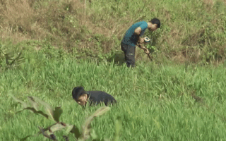 Video: Dò tìm hung khí và tang vật quanh khu vực bắn hạ Tuấn 'khỉ'