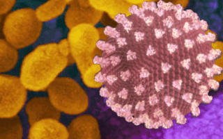 Video: Virus corona đã tàn phá cơ thể con người như thế nào ?