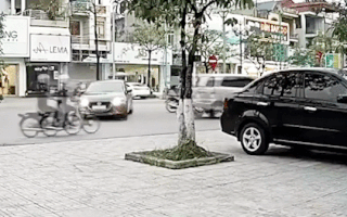 Video: Tài xế nhấn nhầm chân ga, xe lao lên vỉa hè đâm gãy cây xanh