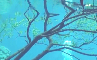 Video: Công viên kỳ ảo dưới làn nước trong vắt