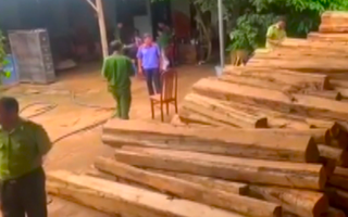 Video: Phát hiện vụ vận chuyển, tàng trữ gỗ trái phép quy mô lớn