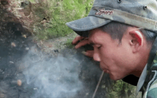 Video: Hun khói lấy mật ong rừng trong hang đá