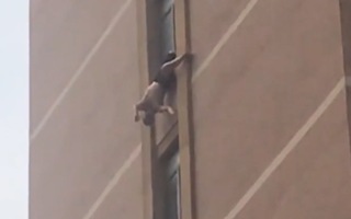 Video: Cứu người đàn ông bị treo lơ lửng ở cửa sổ tầng 10