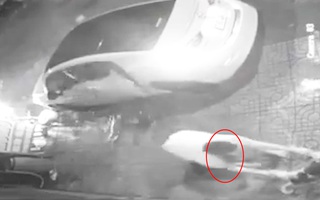 Video: Lái xe ôtô dùng súng điện ăn trộm chó