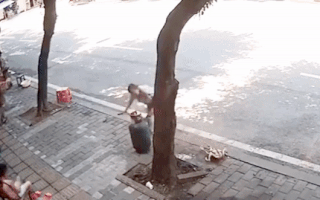 Video: Người phụ nữ hoảng loạn dùng miệng thổi, kéo lê bình gas đang cháy giữa đường
