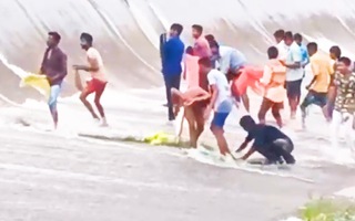 Video: Người dân đua nhau hứng, vớt cá bên bờ tràn hồ Hebballa kere