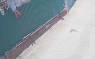 Video: Bé trai chạy xe đạp tông vào vách tường, xe gãy làm đôi