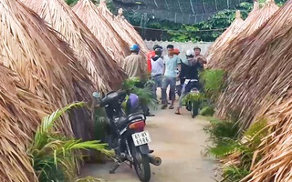Video: Bắt khẩn cấp chủ quán cà phê môi giới mại dâm