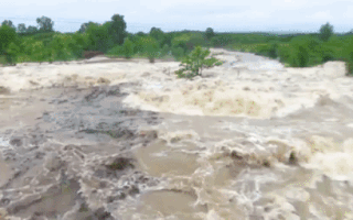 Video: Mưa lớn gây ngập lụt gần 1.000 nhà dân ở Đắk Lắk